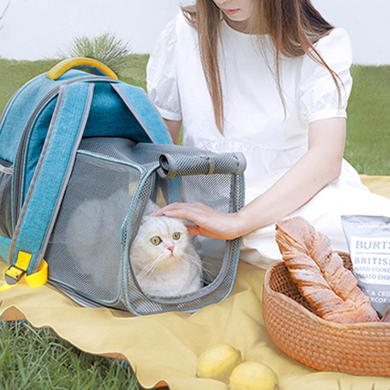 Mochila plegable transparente con ventana de malla para mascotas y correa de seguridad interior
