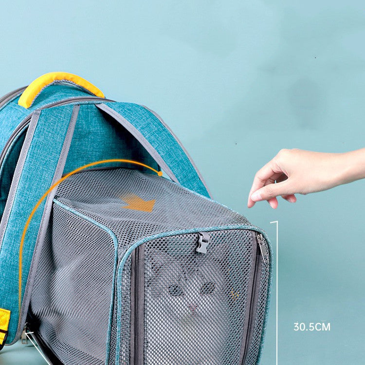 Mochila plegable transparente con ventana de malla para mascotas y correa de seguridad interior
