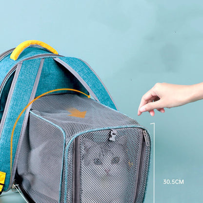 Mochila plegable transparente con ventana de malla para mascotas y correa de seguridad interior