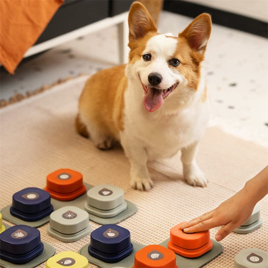 Botón de comunicación para mascotas de 4 colores con un solo clic que evita la inactividad física Botón de conversación para perros grabable Juguete para gatos Productos para mascotas